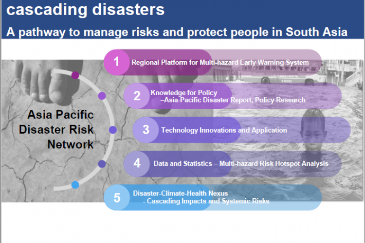 disaster (171), disaster risk management E-Governance (207), disaster risk reduction (297)
